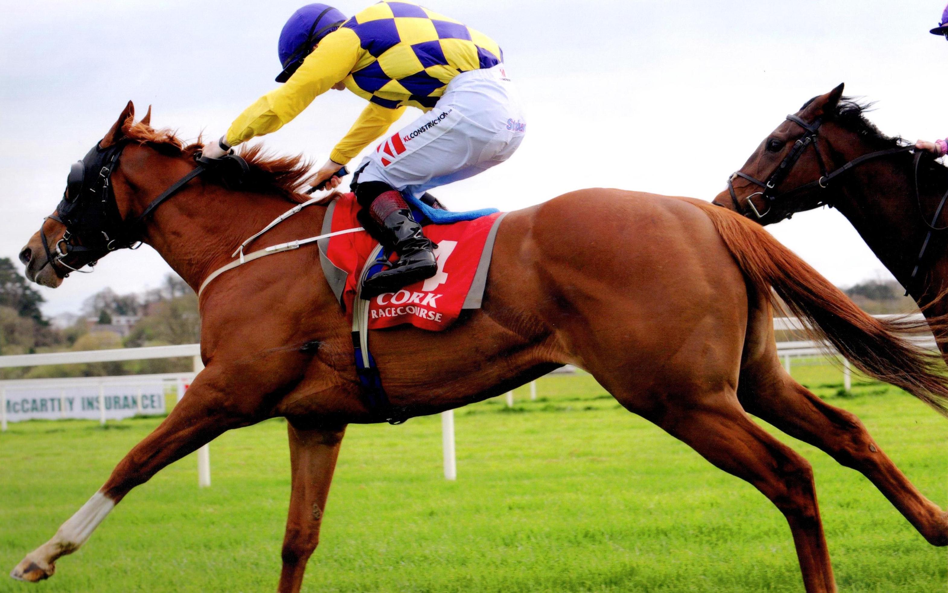 HANSIAN PRINCE strikes for owner Vincent Gaul at Cork 2nd April 2017